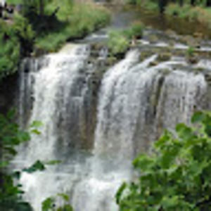 Meet your Posher, Tanga